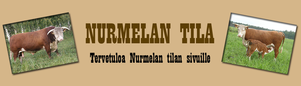 Nurmelan tila